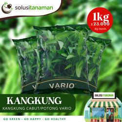 Benih Sayuran Kangkung Vario @1Kg- Biji Bibit Sayur Tanaman Hidroponik