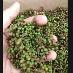 andaliman segar khas Medan berat 500 gram