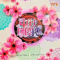 Wang Lai Moon Cake Halal Kacang Hijau / Hitam Telur Medan