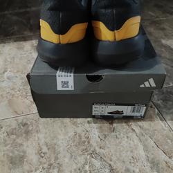 harga adidas falcon ori