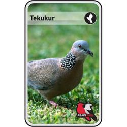 BURUNG TERKUKUR B A N D U N G