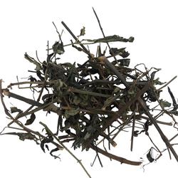 Daun Sambiloto Kering 100gr