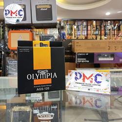 Senar Gitar Akustik Olympia 12 Strings AGS-120