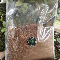 PEMBASMI HAMA ORGANIK UNTUK SIPUT, KEONG DAN BEKICOT, BIO MOLUSKASIDA