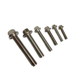 SS304 Baut Flange Bolt Stainless M6 M 6 Baut Topi SS 304