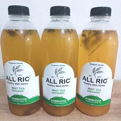 kombucha mint tea/kombucha rasa mint/low sugar/unpasteur/live cultur/1000ml