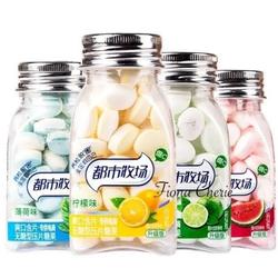 XINLE DOSMC PERMEN FLAVOUR MINT 38gr / botol