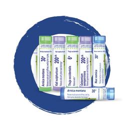 Boiron Homeopathy (SIJ per pils--pilih varian)