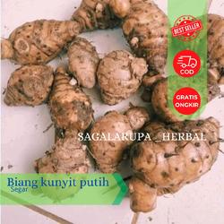 Bongol kunyit putih/biang kunyit putih 500 gram siap kirim