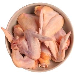 sayap ayam segar-bukan frozen-kirim instan