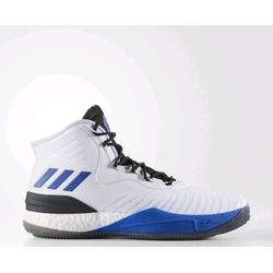 d rose 9.8 shoes