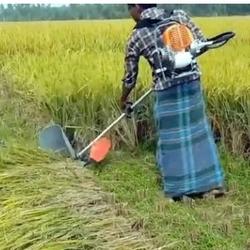 Jual Mesin Potong Padi Gendong Terbaik Harga Murah January 2022 Cicil 0