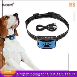 how old for shock collar