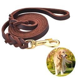 braided leather dog leash