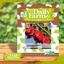 DF benih cabe merah super pedas SUPER HOT HABANERO MERAH 10 butir dari daily farm