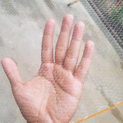 jaring anco ikan udang wader teri lunjar lubang 3/8 inchi (5mm) ukuran 2m x 2m