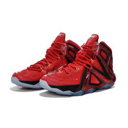 lebron xii elite