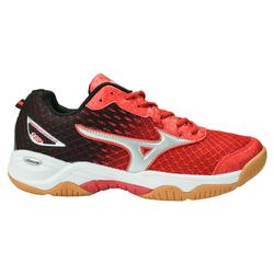 harga sepatu mizuno wave rider 19