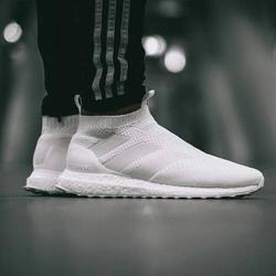 adidas crazy explosive pk