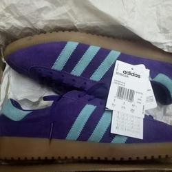 adidas bermuda purple