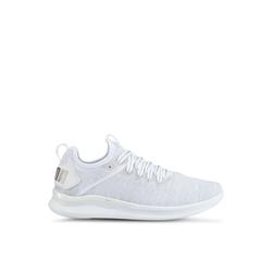 puma ignite evoknit low review