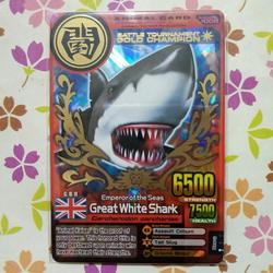 Jual Great White Shark Di Jawa Barat Harga Terbaru 2021