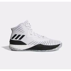 d rose 9.8 shoes