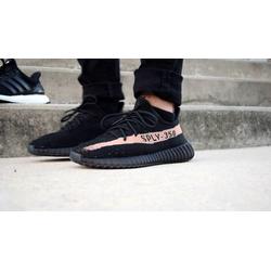 adidas terrex agravic boost gtx