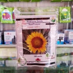 Jual Sunflower Giant Murah Harga Terbaru 2021