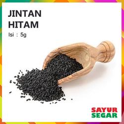 JINTEN HABBATUSSAUDA / JINTAN HITAM [5g]