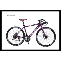 Jual Celcius Raley Model \u0026 Desain 