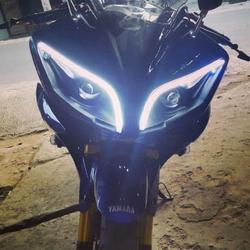 Jual Projie R15 Murah \u0026 Terbaik di 