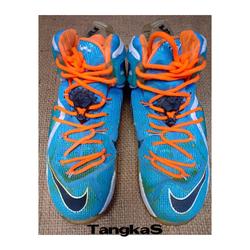 lebron 12 elite team