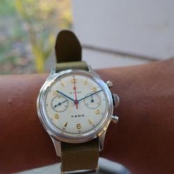 seagull 1963 reissue