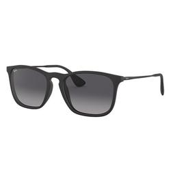 ray ban 4187