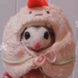 sugar glider doll
