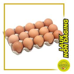 Jual Telur Ayam 1 Kg Terbaru May 2021 Harga Murah
