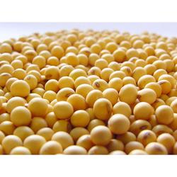 RyuMart - Kedelai Super Kacang [500 g]