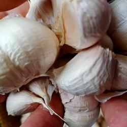 Bawang Putih 500 gram