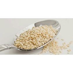 Jual Biji Wijen Terdekat Harga Murah Grosir September 2021