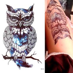 68 Koleksi Gambar Sketsa Tato Burung Hantu Gratis Terbaru