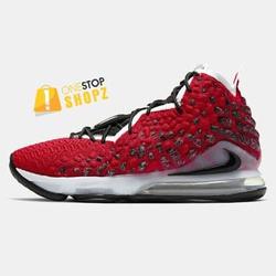 lebron 17 champs