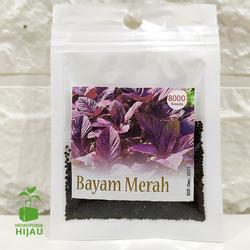 Benih Bayam Merah (REPACK)
