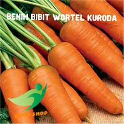 benih bibit wortel kuroda