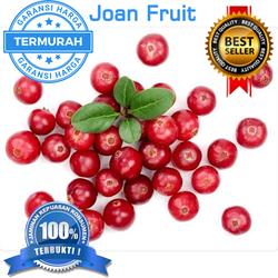 Jual Buah Cranberry Terdekat Harga Murah Grosir November 2021