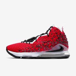 lebron 17 on sale