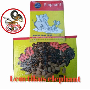 Lem tikus papan import cap gajah