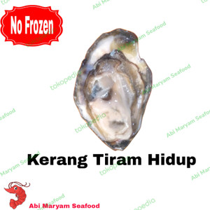 Kerang Tiram Hidup oyster 1kg