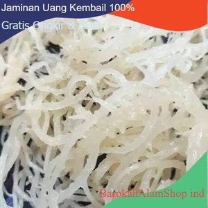 Rumput Laut Agar 1Kg-Laut Basah Siap Olah Untuk Bahan Ice Campur 1Kg Terbatas