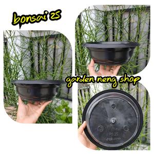 Harga Hairgrass Bahan Tanaman Hias Aquascape Murah Katalog.or.id Harga Hairgrass Bahan Tanaman Hias Aquascape Murah Katalog.or.id
